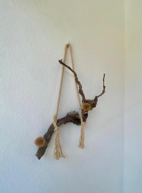 Ferienwohnung Encosta Do Sol Canas de Senhorim Exterior foto